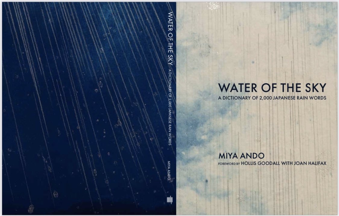 RAIN+COVER_FINAL_Miya+Ando.jpg